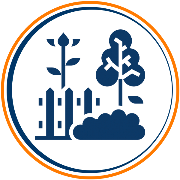 icon10